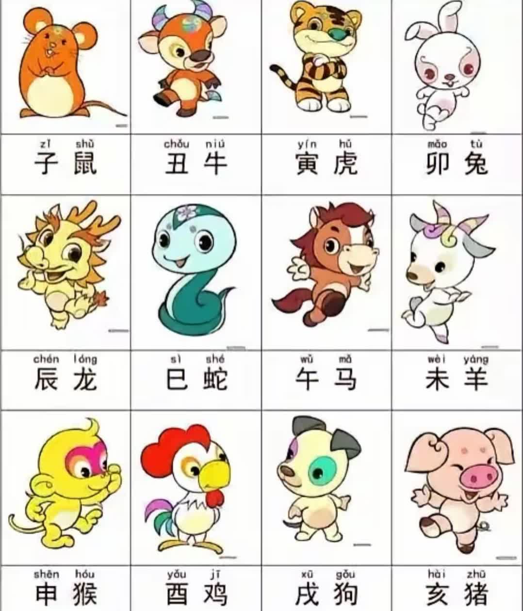 单数中特虎鼠马，牵一发而动全身打一准确生肖详细解答、解释与落实、构建解答解释落实